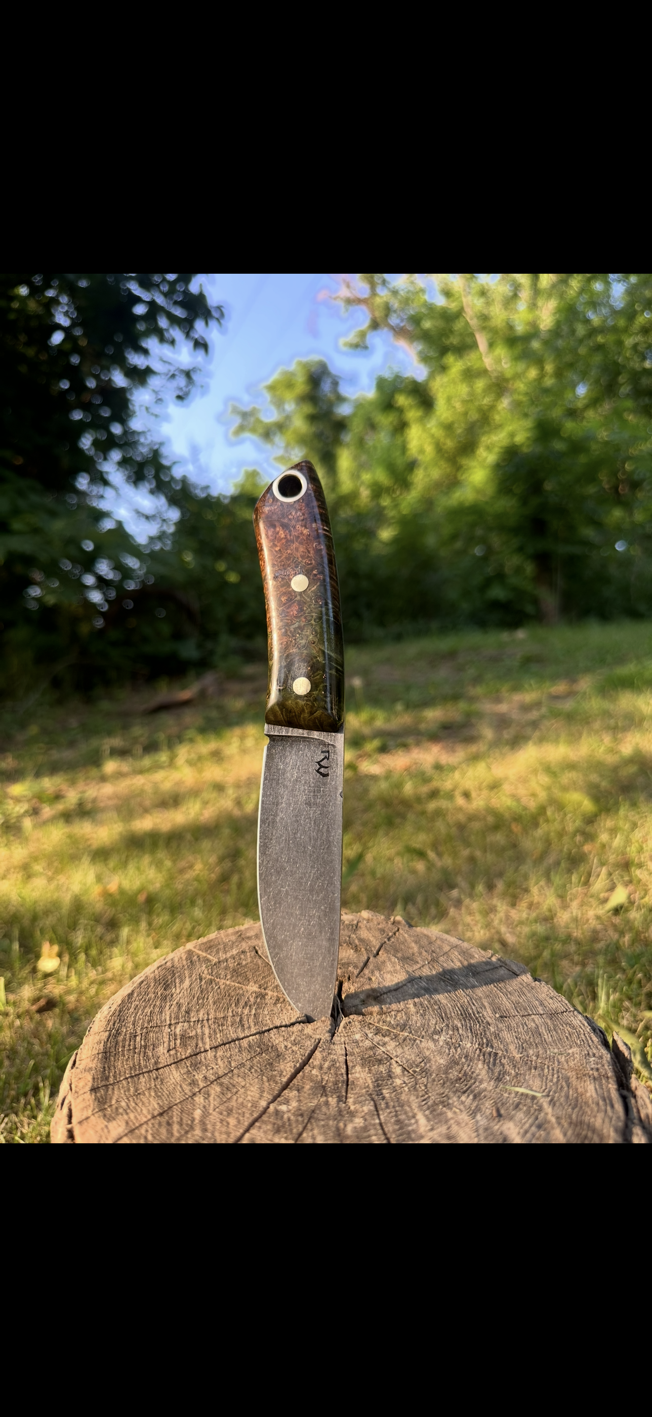Drop-point hunter on tree stump