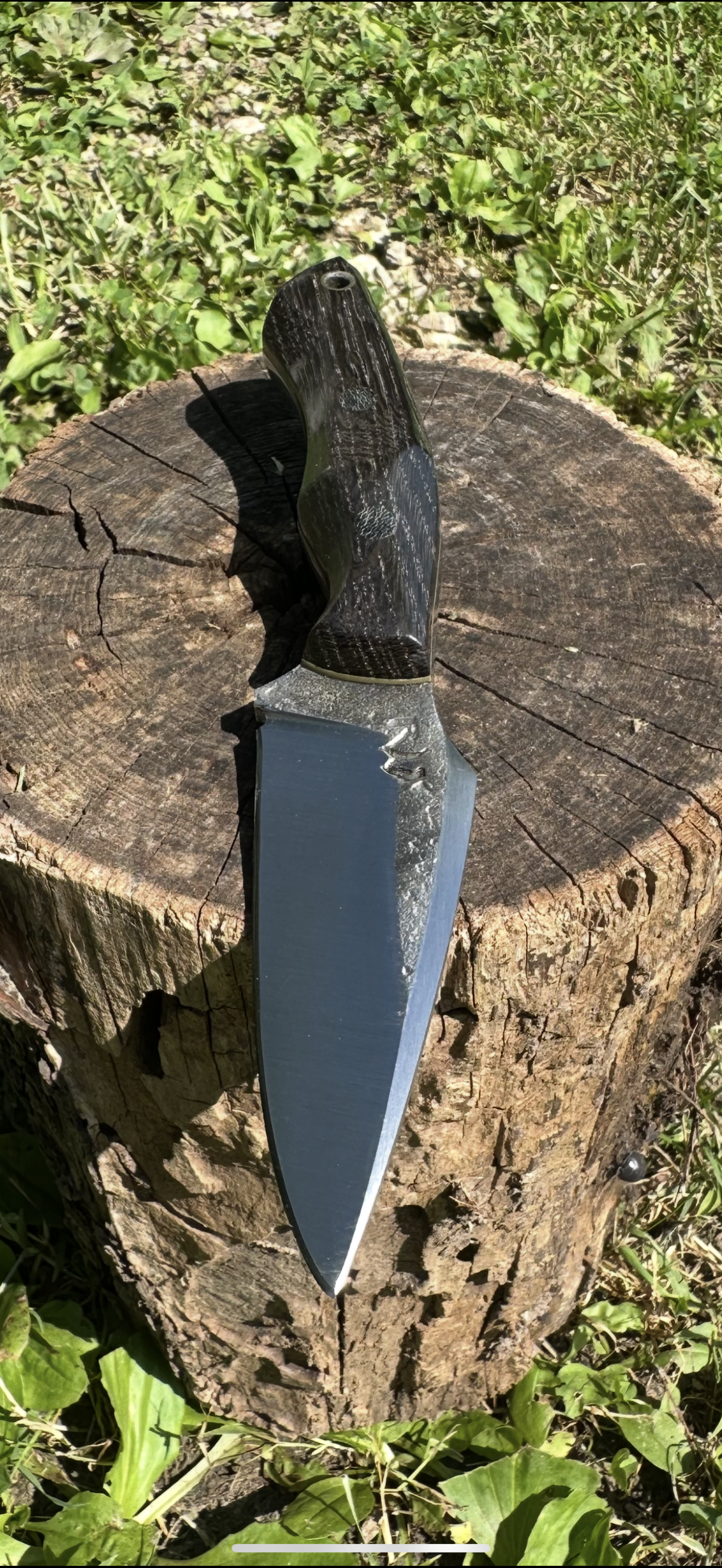 Tanto-style blade on tree stump outdoors