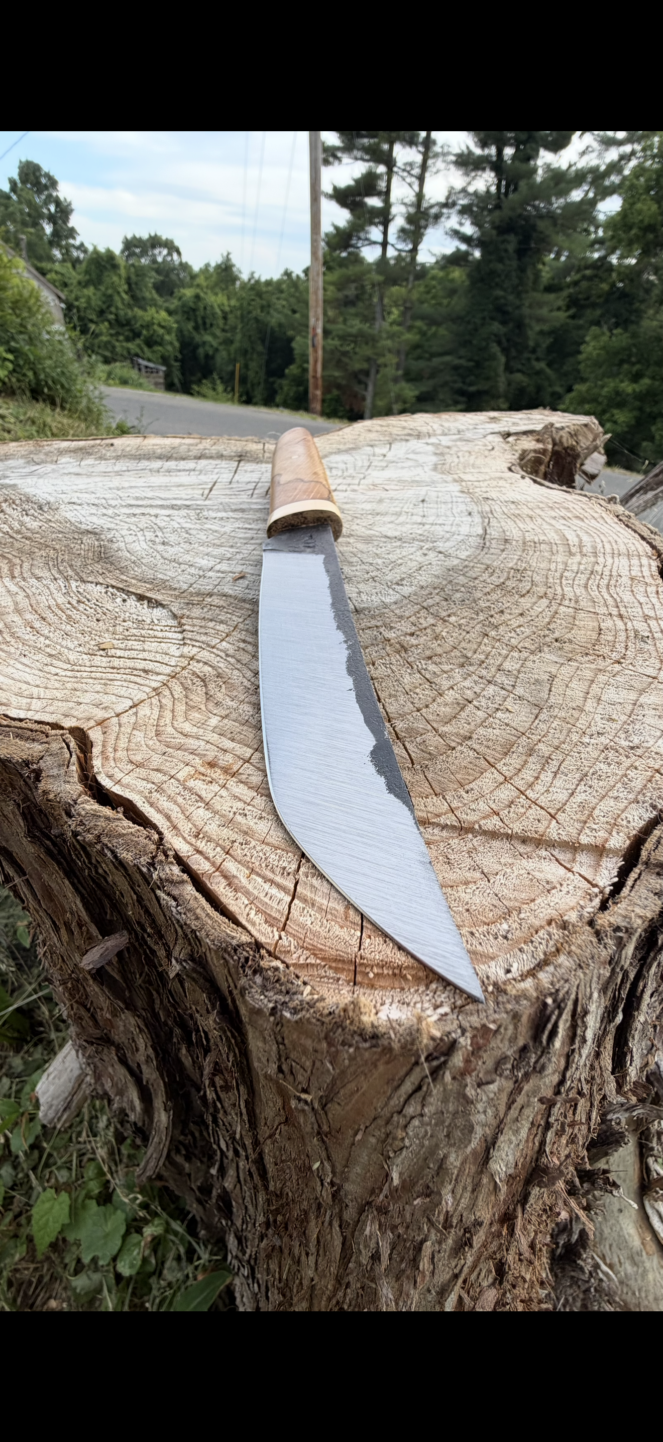 Tanto-style knife resting on tree stump outdoors